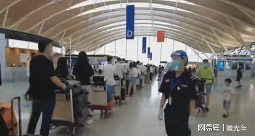 高額留學中介費引爭議 詆毀普通家庭還是市場現實？