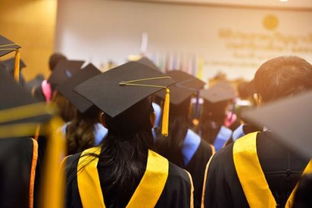 2019年留學(xué)中介排名與自費出國咨詢感受 揭秘榜單背后的秘密