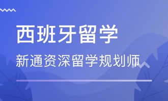 武漢西班牙留學(xué)中介 自費出國留學(xué)中介服務(wù)全指南